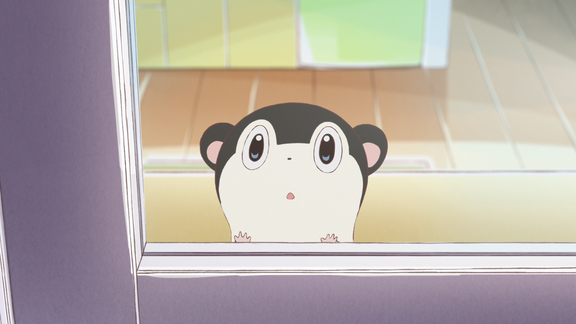 Baja no Studio (Anarchy Subs)